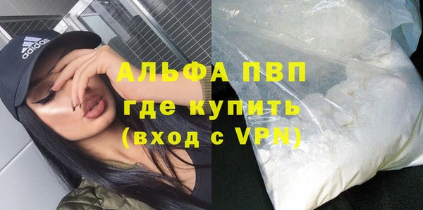 гидра Абаза