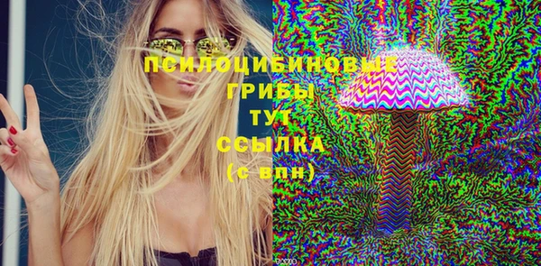 бутират Алзамай